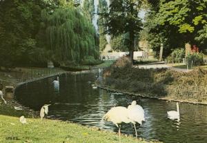Les Flamants Roses