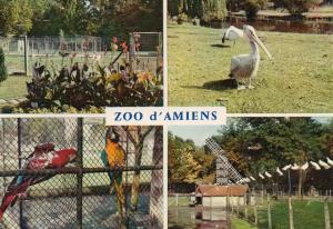 Le Zoo - 1968