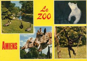 Zoo d'Amiens - 1987