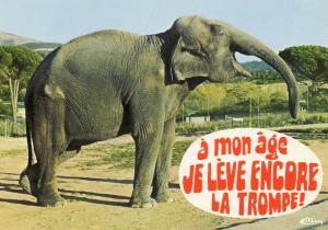 Parc Zoologique de Fréjus