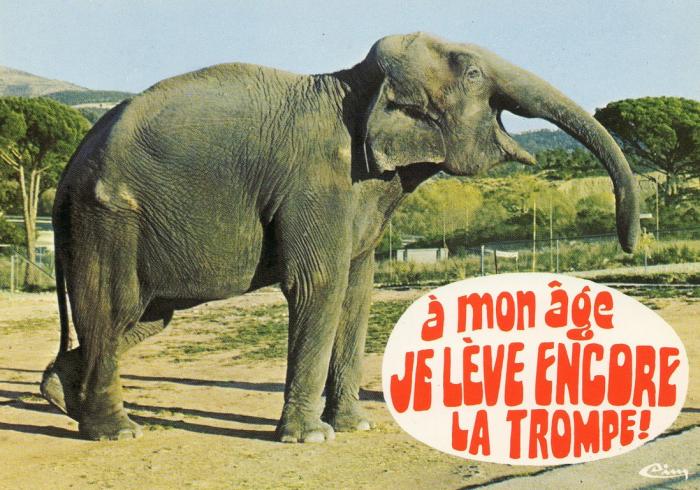 Parc Zoologique de Fréjus
