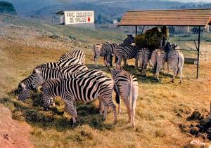 83 Zoo de Fréjus