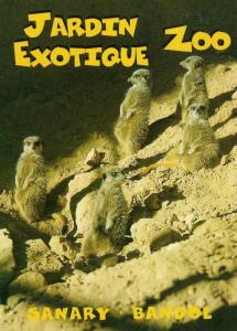 Suricate - Kalahary - 1981