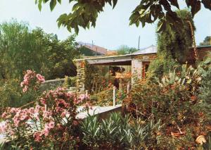 Vue du jardin - Volières des Singes