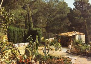 Un coin de Rocaille - 1978