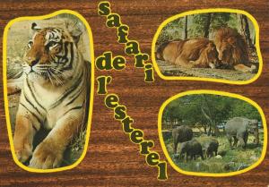 Safari de l'Estérel