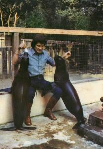 Le repas des Otaries - 1975