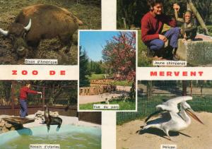 Zoo de Mervent - 1973