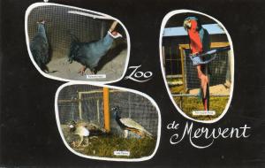 Zoo de Mervent - 1965
