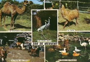 Zoo de Mervent