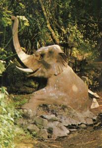 Eléphant sculté