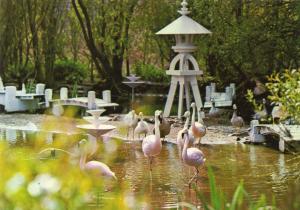 85 Zoo des Sables d'Olonne