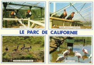 Parc de Californie