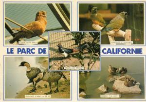 Parc de Californie