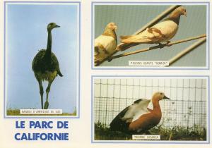 Parc de Californie