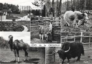 Zoo de La Crouzille
