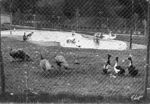 Bassin et Parc à Oiseaux