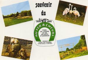 Zoo - Au Fer à Cheval