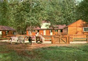 Ferme des animaux familiers