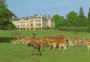 Le Monde des Animaux sauvages