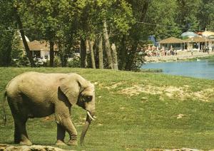 Parc de Saint Vrain