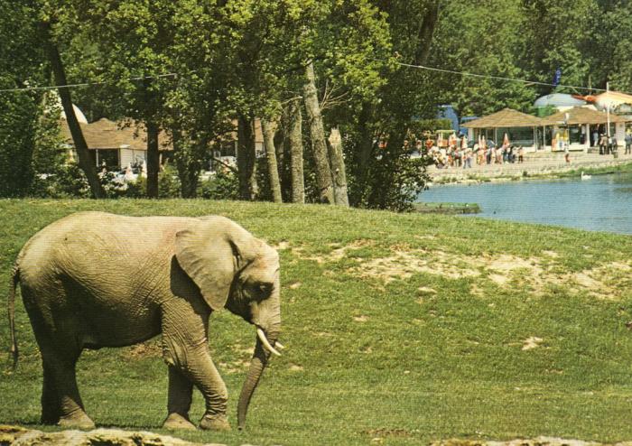 Parc de Saint Vrain