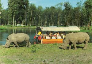 Safari-Bâteau