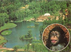 91 Parc de Saint Vrain