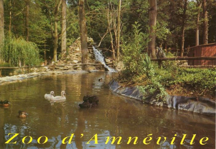 Promenade autour des îles à Singes