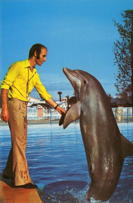 Le bonjour de Splash - 1976