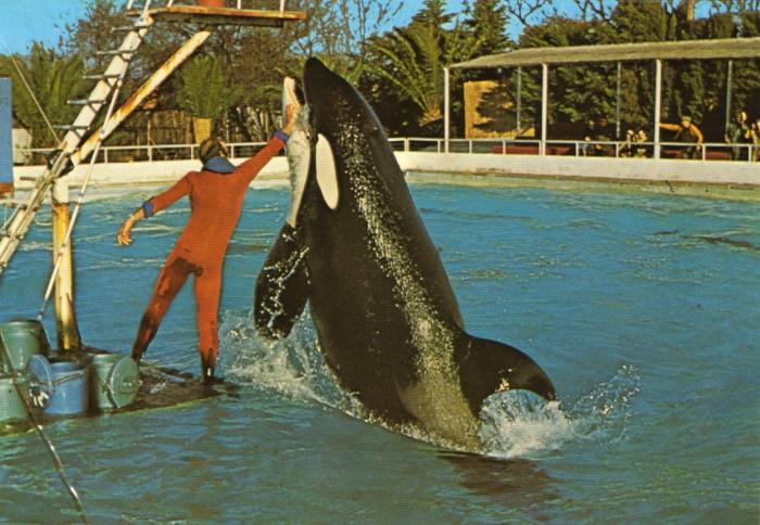 Marineland