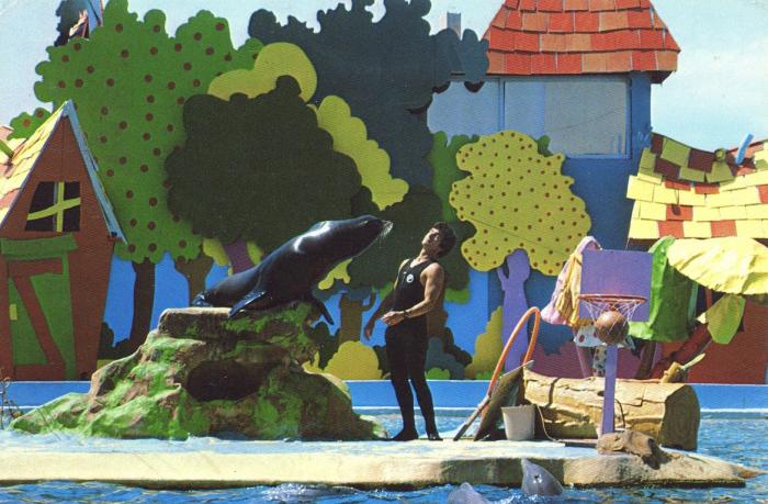 Spectacle des Dauphins et Otarie - 1986