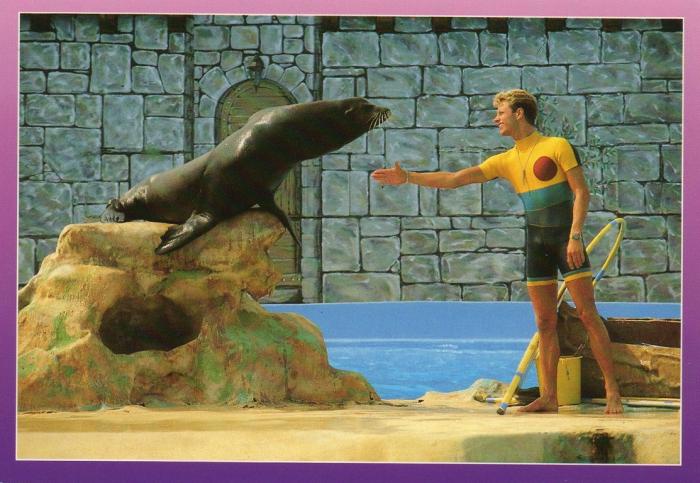 "Slicky" l'otarie et son soigneur - 1992