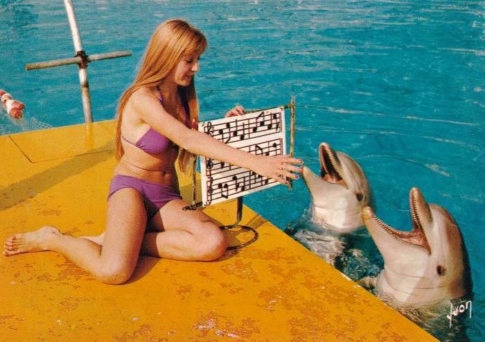 Splash et Lucky interprétant le chant de la mer