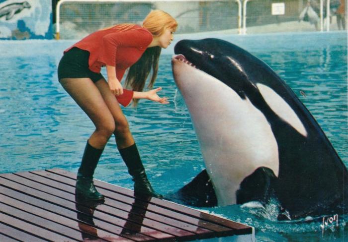 Le baiser de "Clovis" l'orque 3000 kg