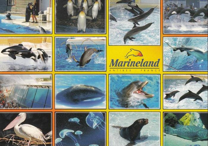 Marineland