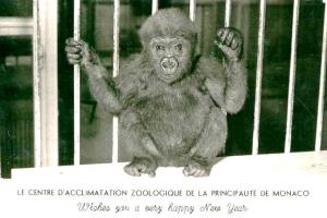 Centre d'Acclimatation Zoologique de la Principauté - 1957