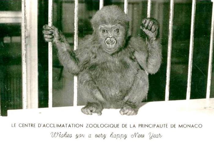 Centre d'Acclimatation Zoologique de la Principauté - 1957