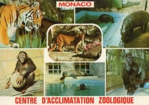 Centre d'Acclimatation de Monaco