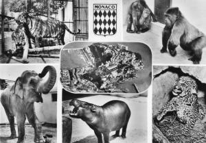 Jardin animalier Rainier III