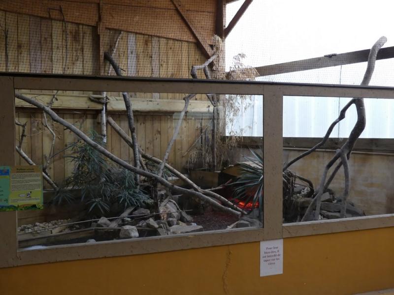 Python réticulé (3)