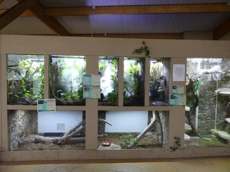 Vivarium