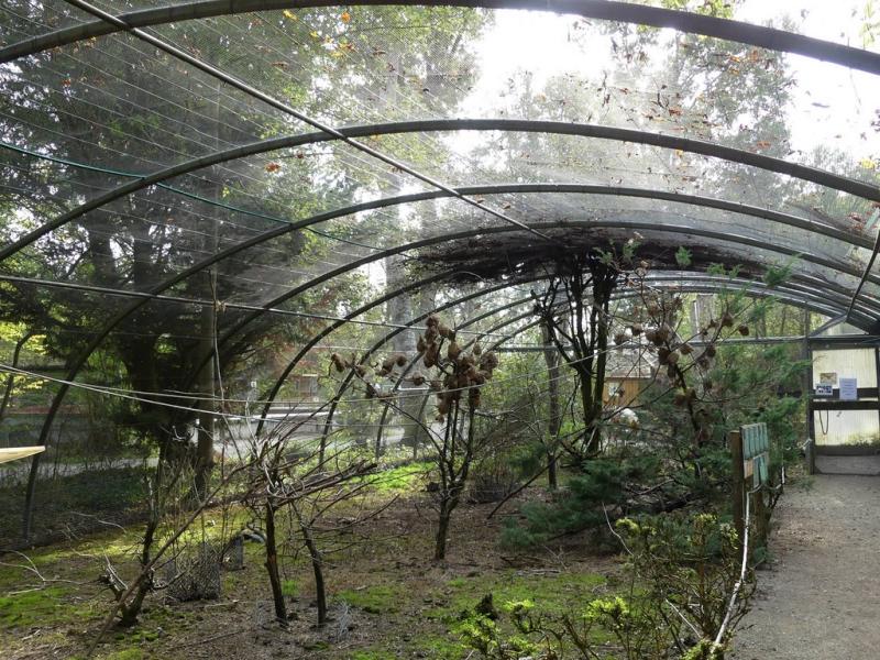 Volière des Tisserins