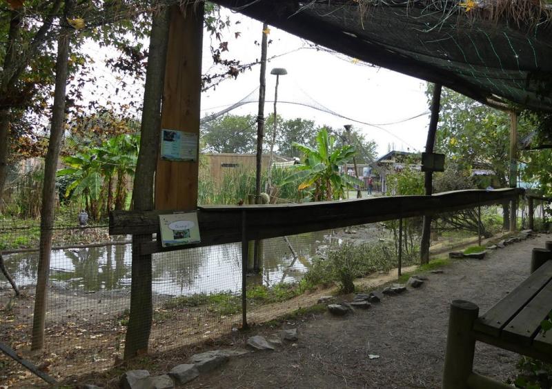 Volière des Kamichis