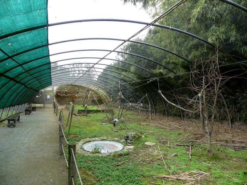 Volière australienne