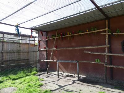 Volière sud-américaine - 2022