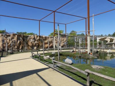 Volière sud-américaine - 2022