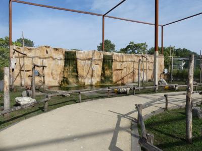 Volière sud-américaine - 2022