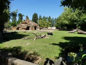 Petite ferme