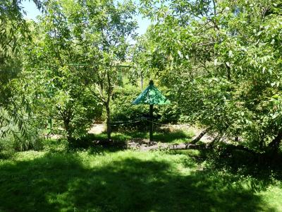 Maki vari noir et blanc - 2020